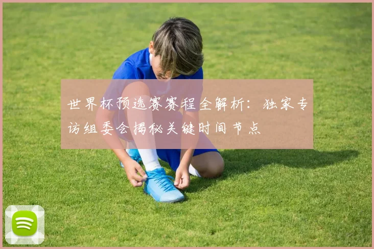 世界杯预选赛赛程全解析：独家专访组委会揭秘关键时间节点