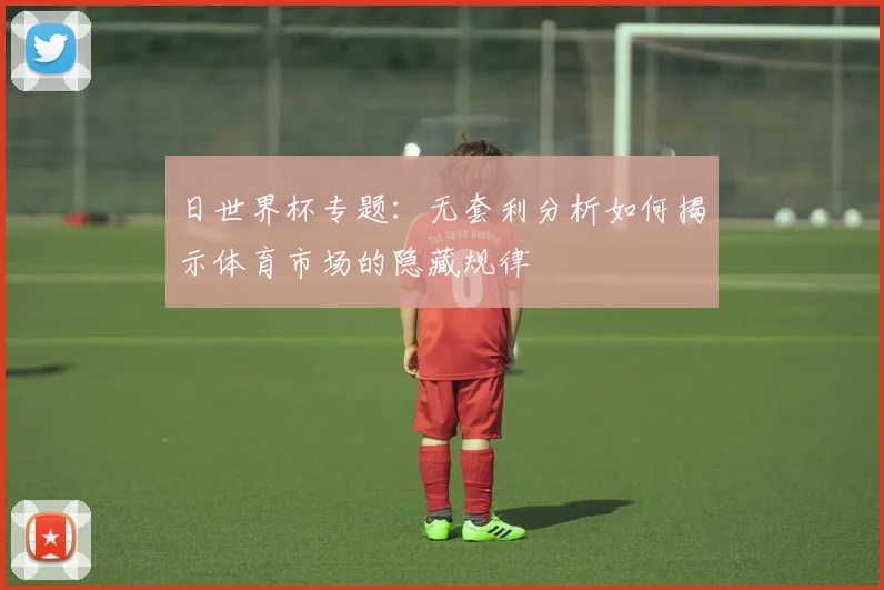 日世界杯专题：无套利分析如何揭示体育市场的隐藏规律