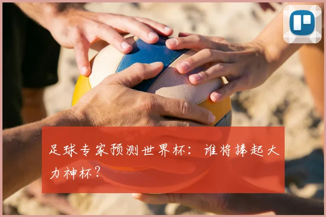 足球专家预测世界杯：谁将捧起大力神杯？