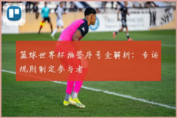 篮球世界杯抽签序号全解析：专访规则制定参与者