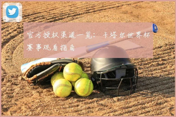 官方授权渠道一览：卡塔尔世界杯赛事观看指南
